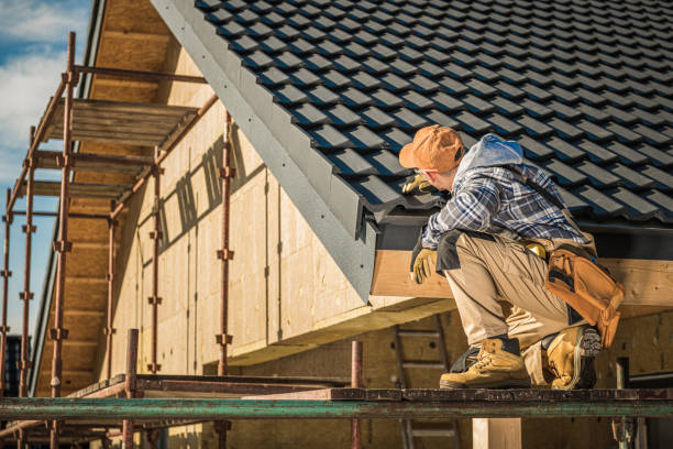 Best Roof Moss and Algae Removal  in Rosedale, MD